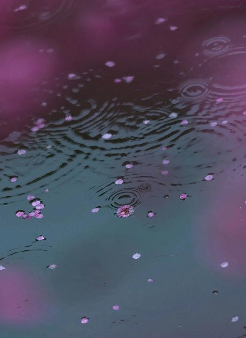 雨水哲理,雨水的好句