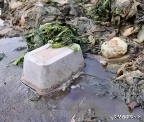 玉蕾被曝用垃圾菜叶制作橄榄菜,3.15食品曝光橄榄菜