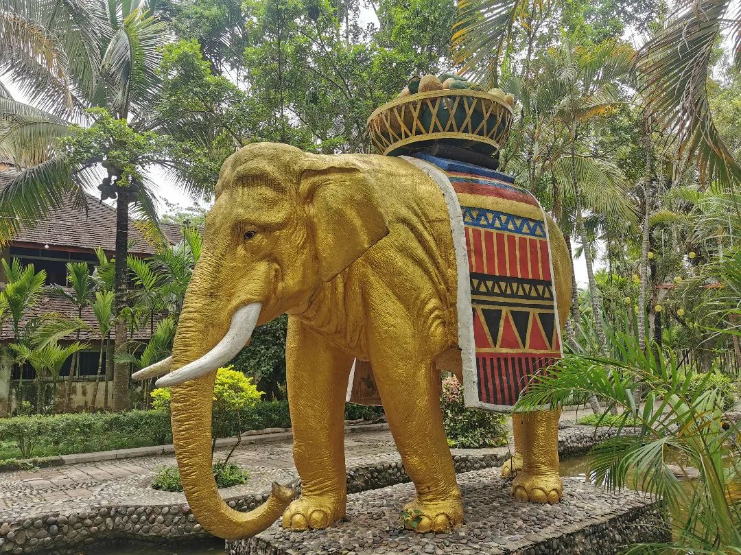 西双版纳七天六夜攻略,西双版纳五天六夜之旅完美结束