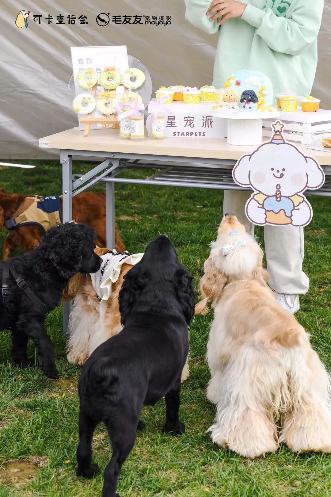各单位注意！6.9-6.11「萌力全开！宠物文化市集」各摊主已就位！快来Pick你最中意的他