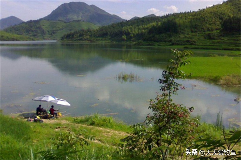 盛夏野钓，找准鱼窝有技巧，3个条件满足2条，一定有大鱼扎堆