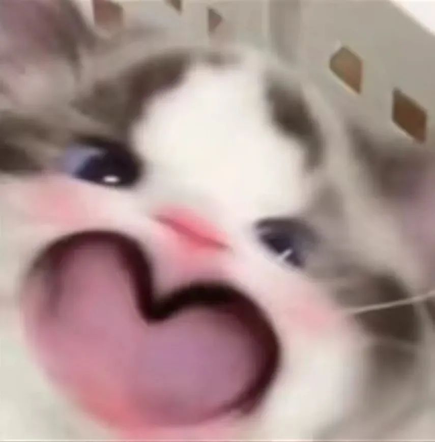 520送礼首选爽爆舌尖的味觉之旅,520一杯会告白的奶茶