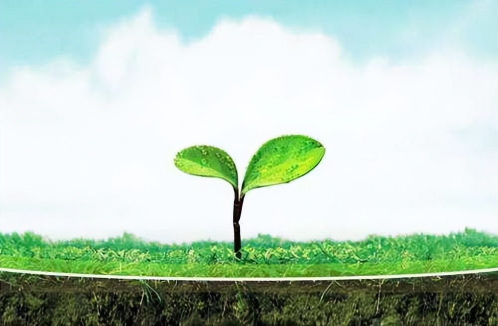 详细剖析期货市场投机行为的本质,了解期货交易的基本原理与方法