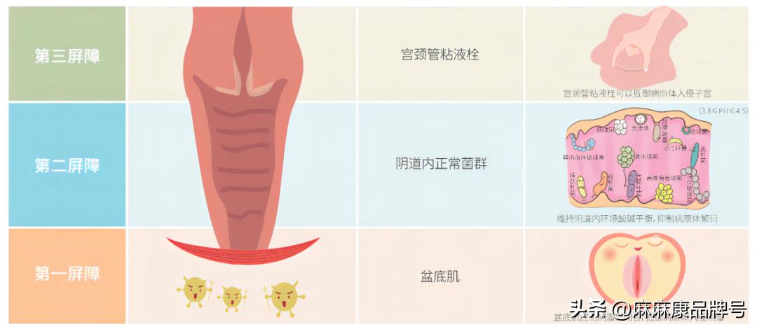 女性为什么得了宫颈炎,阴道炎盆腔炎宫颈炎有什么症状