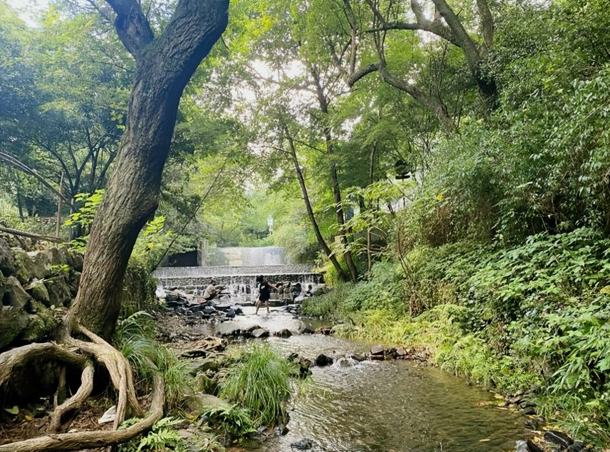 杭州国庆游玩景点推荐,国庆杭州打卡景点