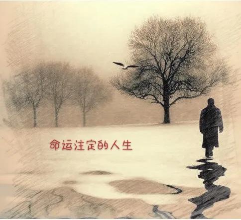 当人生轨迹发生转变 (转变的人生轨迹)