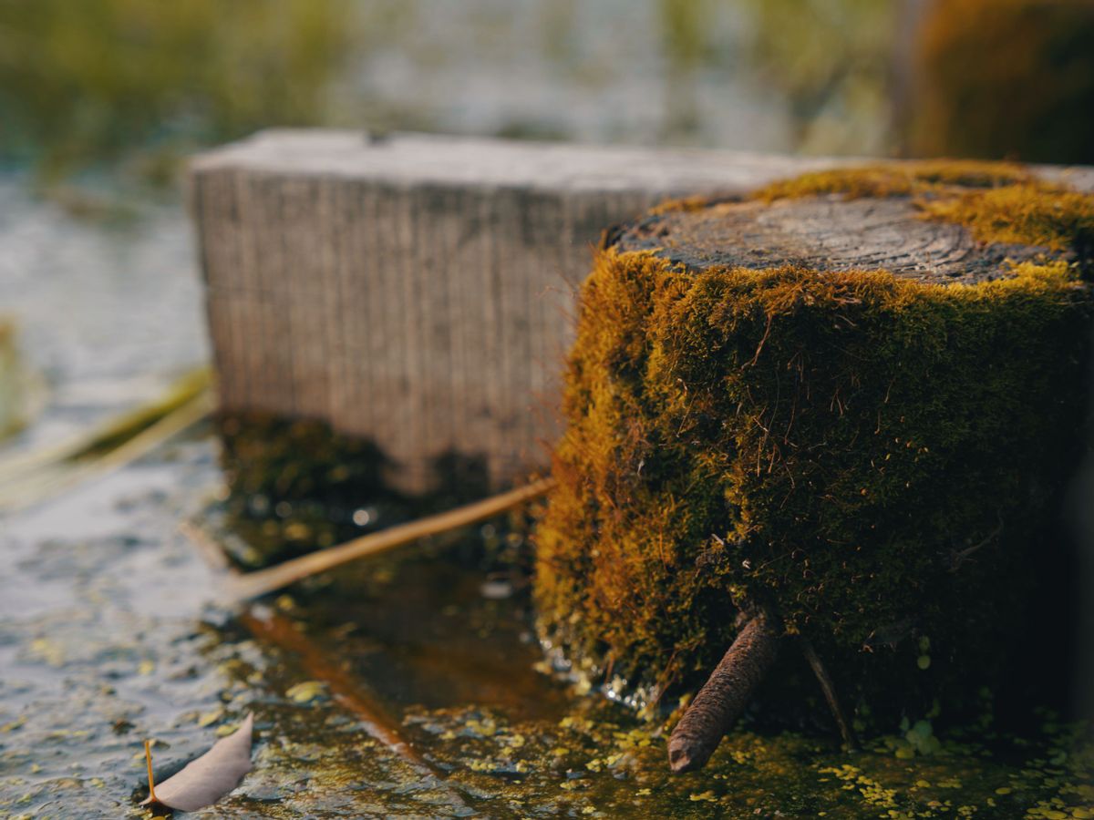 这几个星座表面波澜不惊,这些星座看似高冷实际却暖到不行