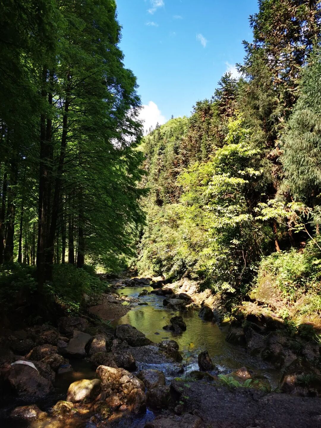 避暑旅游景点看山看水,清凉避暑好去处雪溪洞一日游