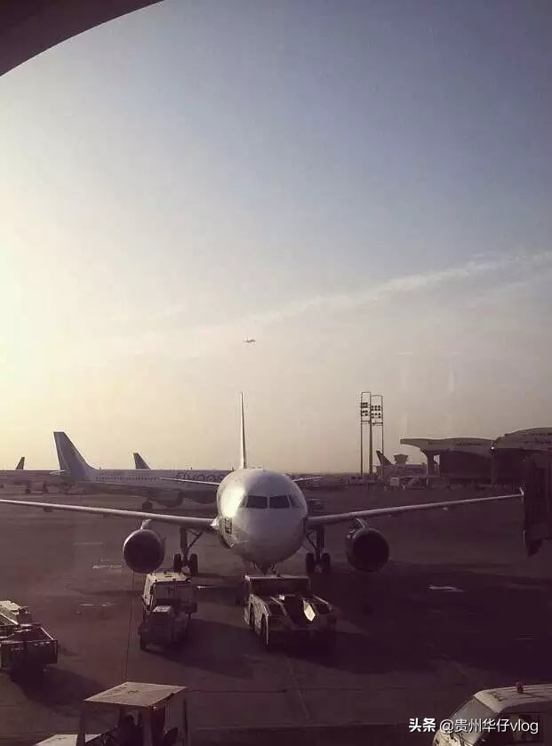 在沙特阿拉伯的感受,在沙特阿拉伯生活