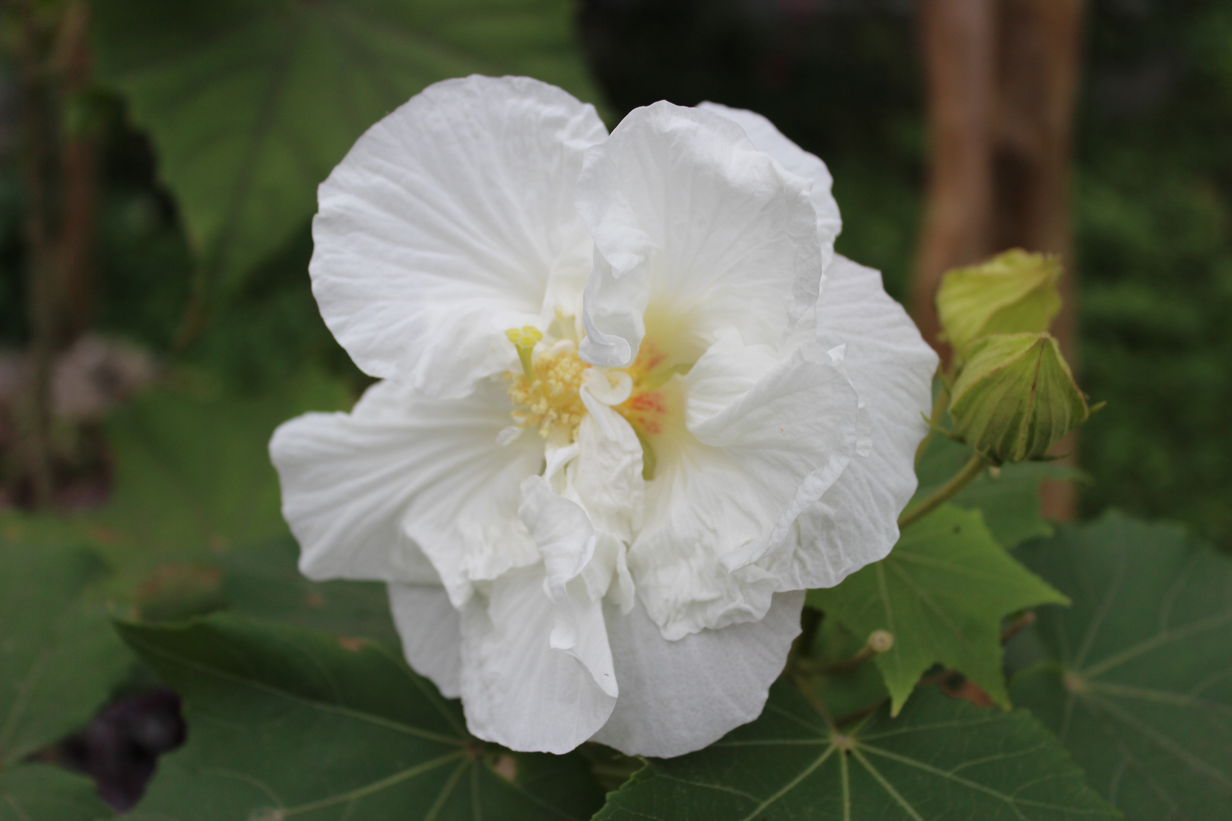 2017最全台湾购物攻略,台湾宝岛购物攻略