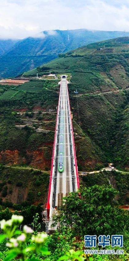 开通抖音一百天,中老铁路开通100天成绩很亮眼