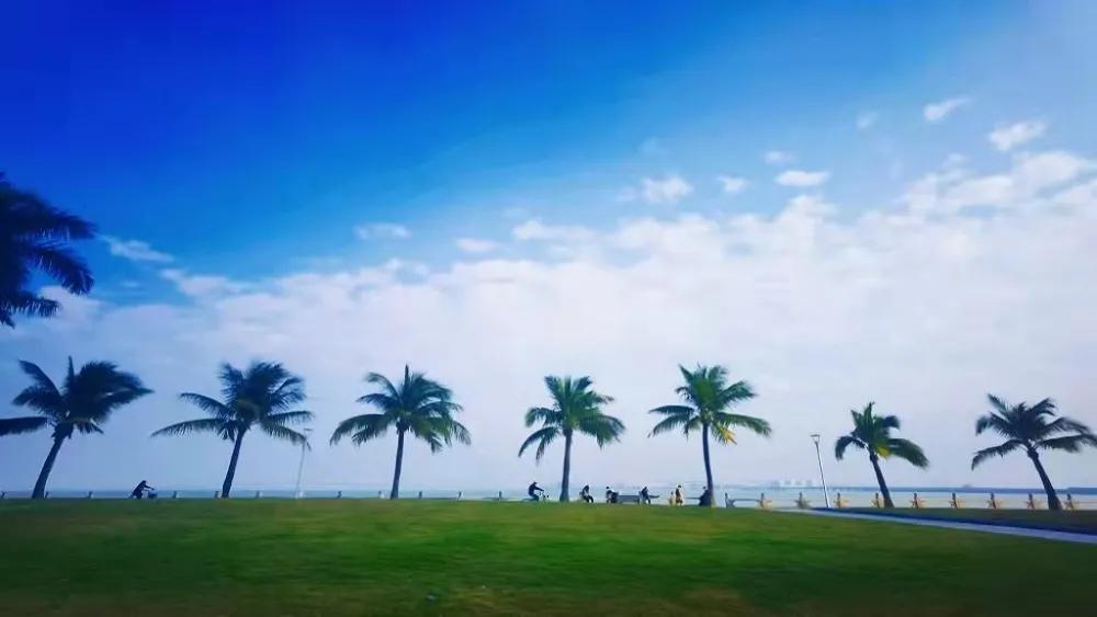 广东度假海岸,广东海岸线自驾游