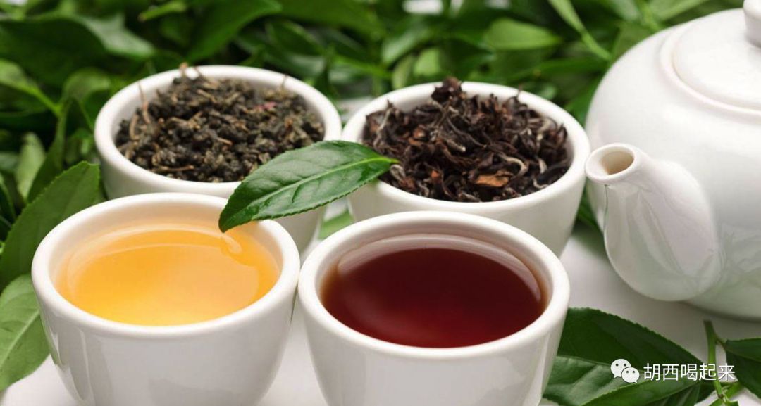 乌龙茶减肥三件套,减肥乌龙茶套装