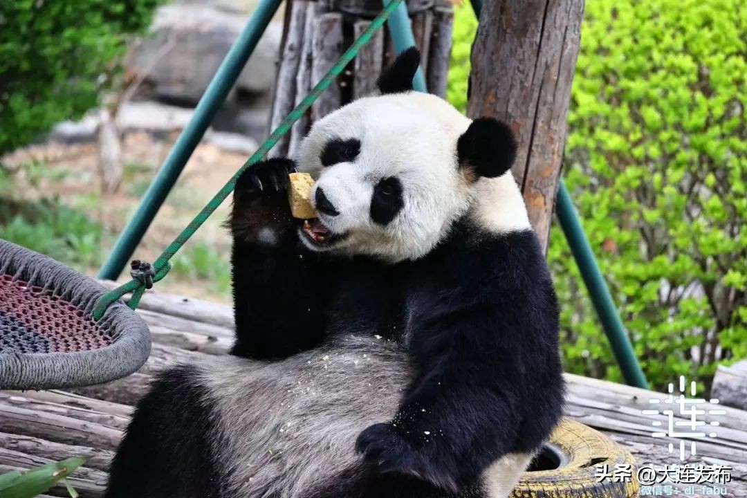 一日游大连旅游景点大全,大连旅行十大景区排名