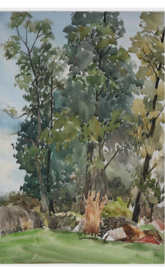 【艺坛百家】|水味彩韵•画意诗情——*党**天才水彩画赏析