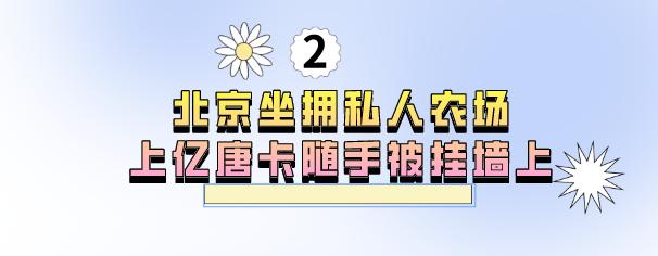 导演张静初和蒋雯丽,王家卫张静初蒋雯丽事件