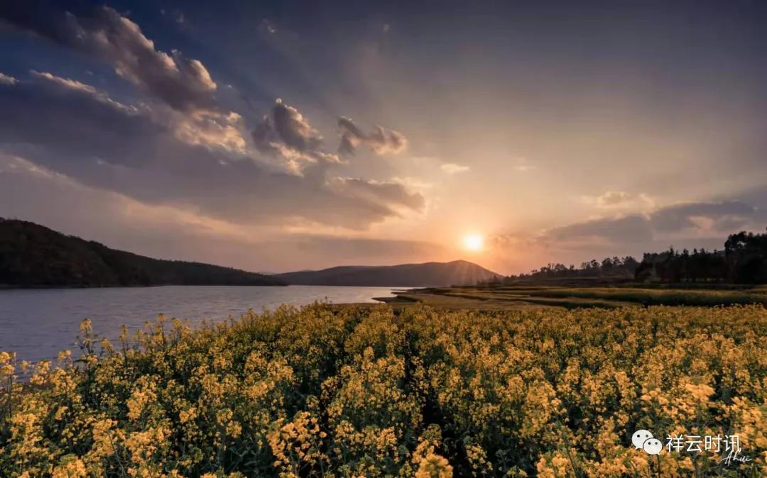 最新的祥云新闻,最新祥云县新闻