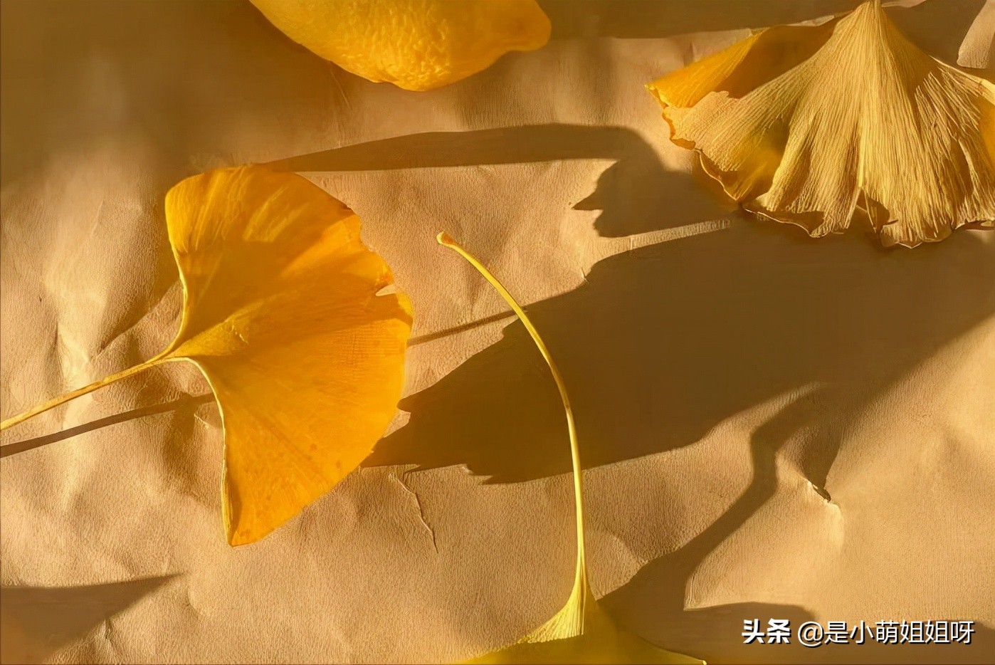 怎样才可以一夜涨粉到6000,如何3个月涨粉1000万