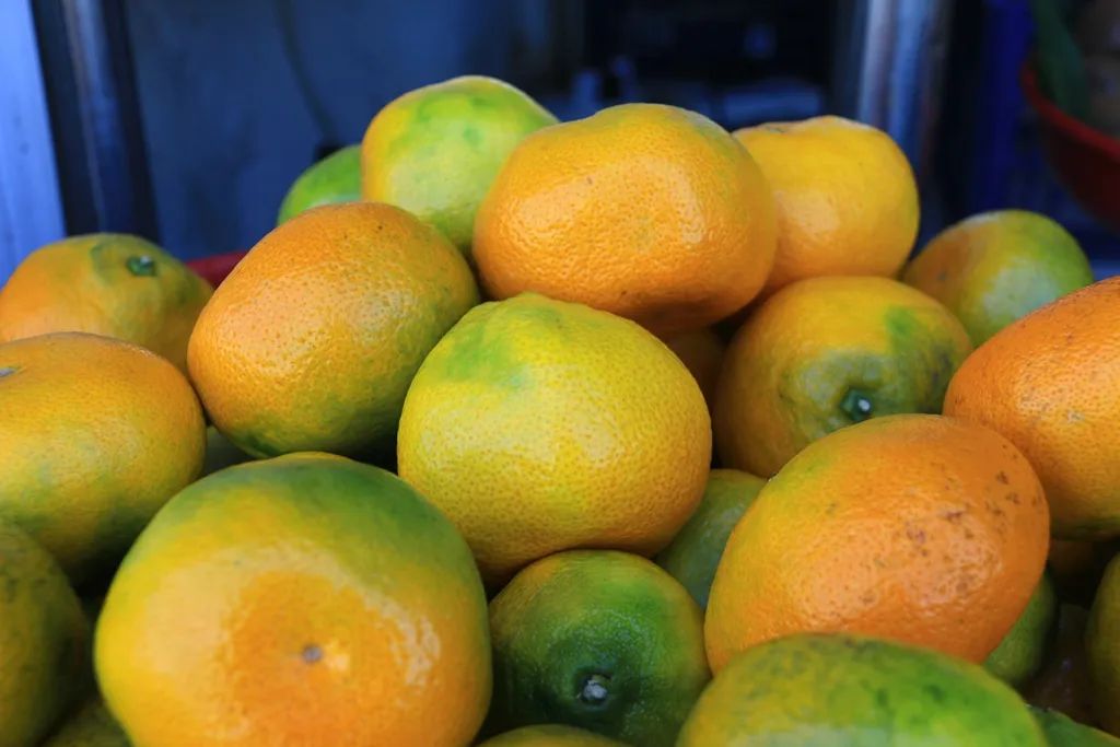 最近的泰兴,泰兴现在的样子