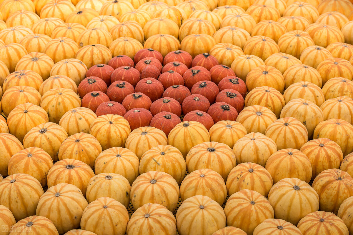 有教养懂规则的孩子是这样培养的,怎么制定规则孩子才会自律