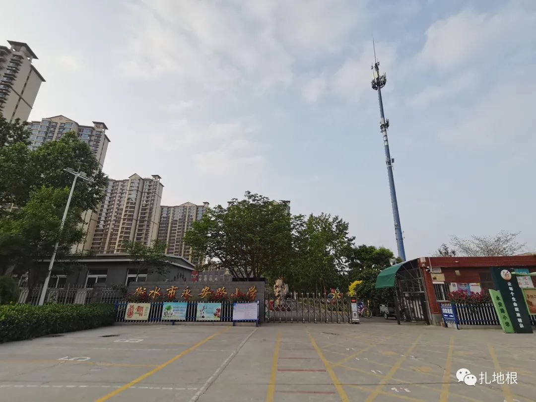 衡水市区比较好的小学有哪些,衡水公办小学有哪些