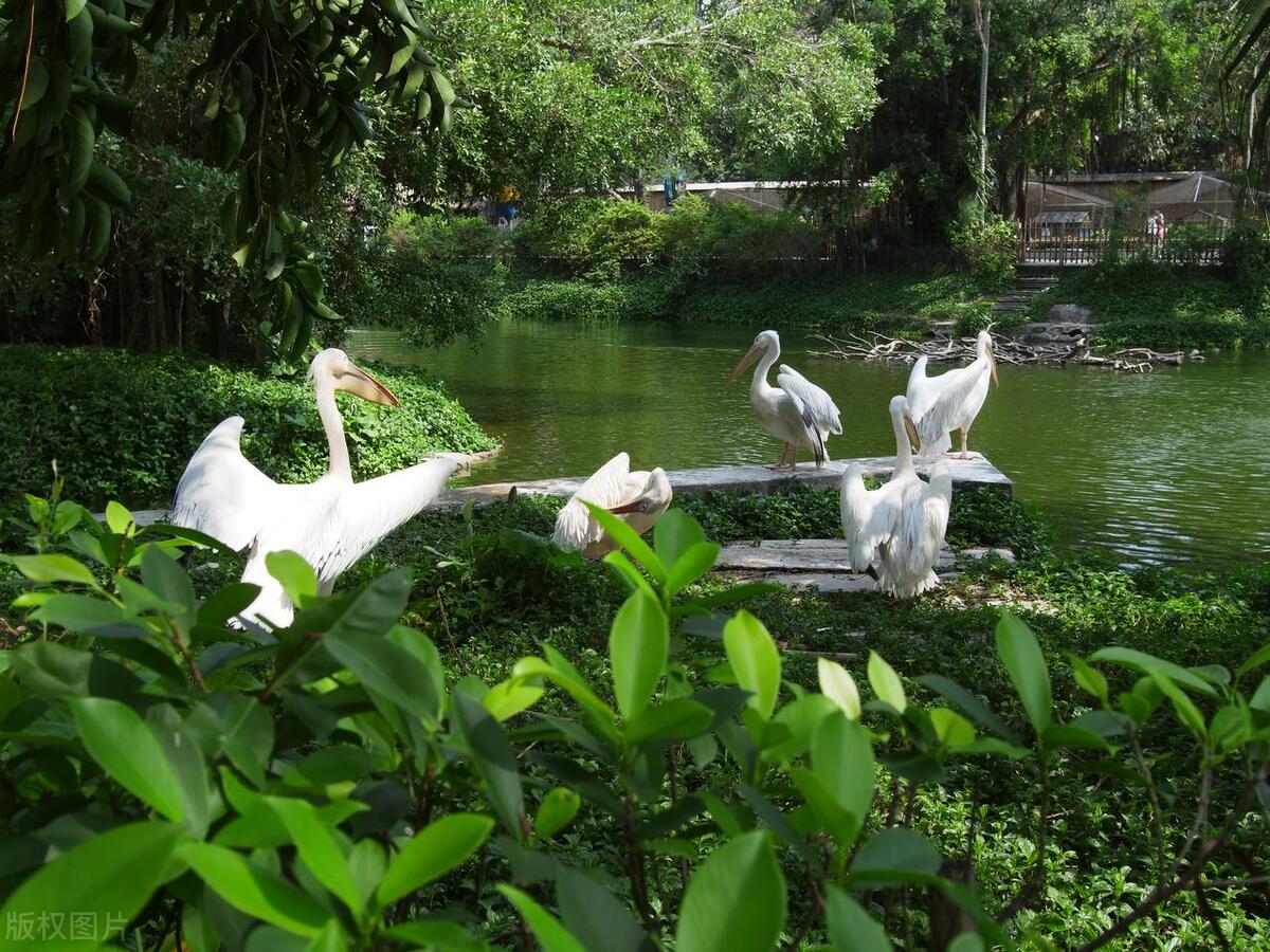 深圳龙岗必去十大景点,深圳最值得去的十大景点
