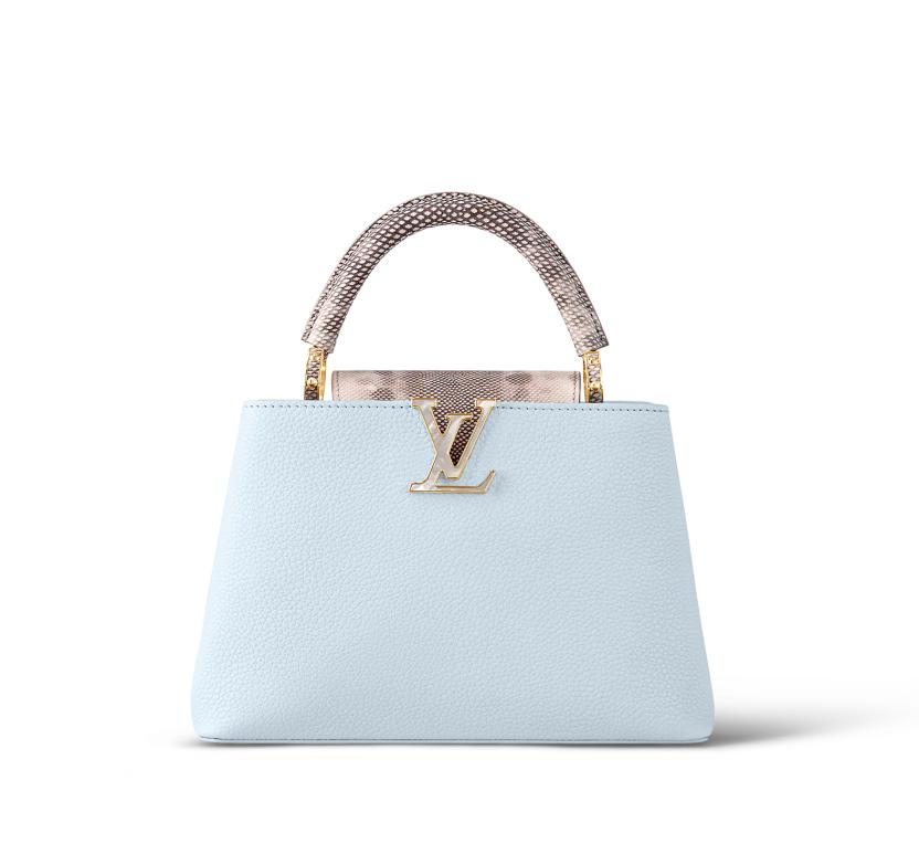 名媛富婆独宠，LV就指着它赚钱了！