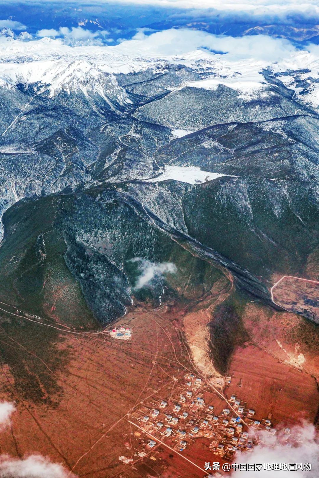 我国哪里盛产火龙果,全国最大的火龙果基地是哪里