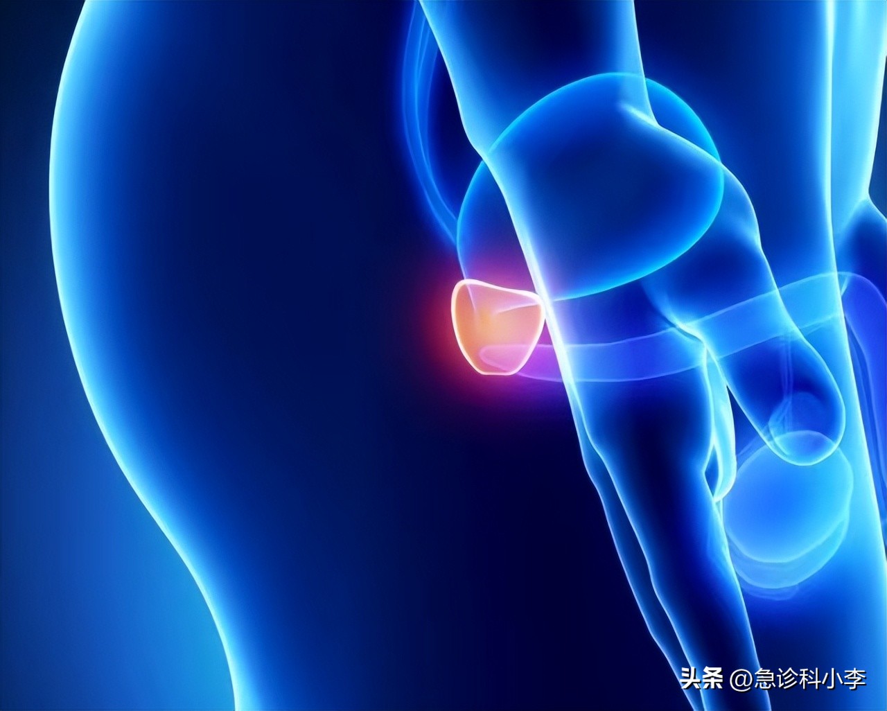 有没有降压功效的伟哥,小伟哥降压药的功效与作用