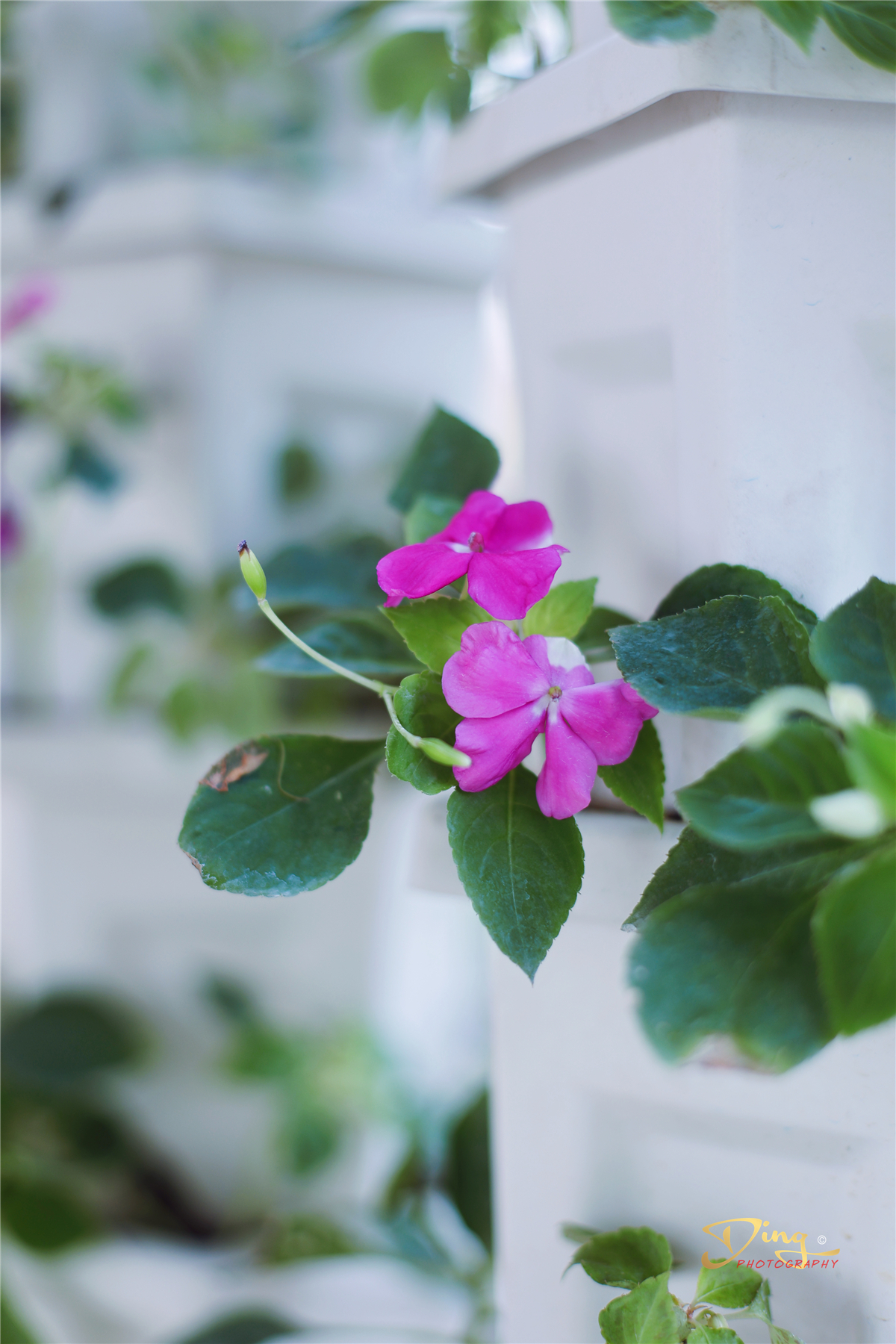 苏州东太湖游玩攻略,春节东太湖旅游攻略