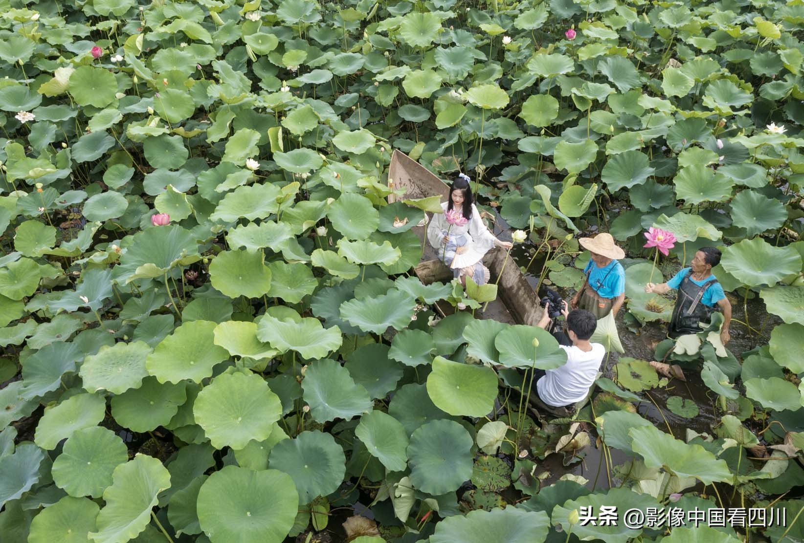 刘国兴的2022年:冬去春来,愿岁月静好(上集)