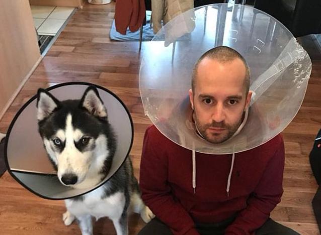 打断狗狗交配,会带来什么后果?