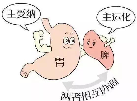 减肥减不动？“痰湿瘀虚”皆可胖，如何打开减肥的正确方式？