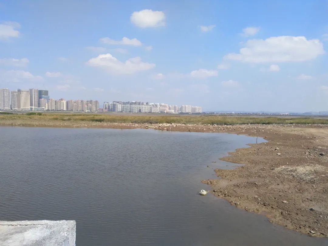 湿地保护公益诉讼典型案例,最高检河道治理公益诉讼典型案例