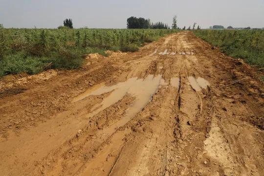 你理想中的乡村生活是这样的吗,你眼中的乡村生活是什么色彩的