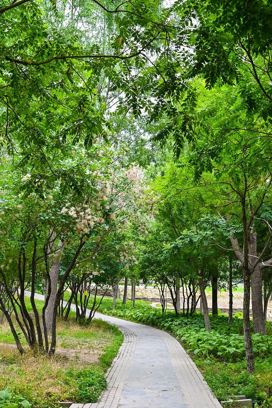 北京免费景美公园大全,北京这个公园也很美