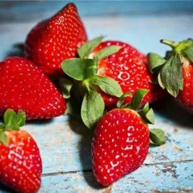 胃不好病人营养餐每天搭配食谱,胃不好适合吃什么样的饭菜水果