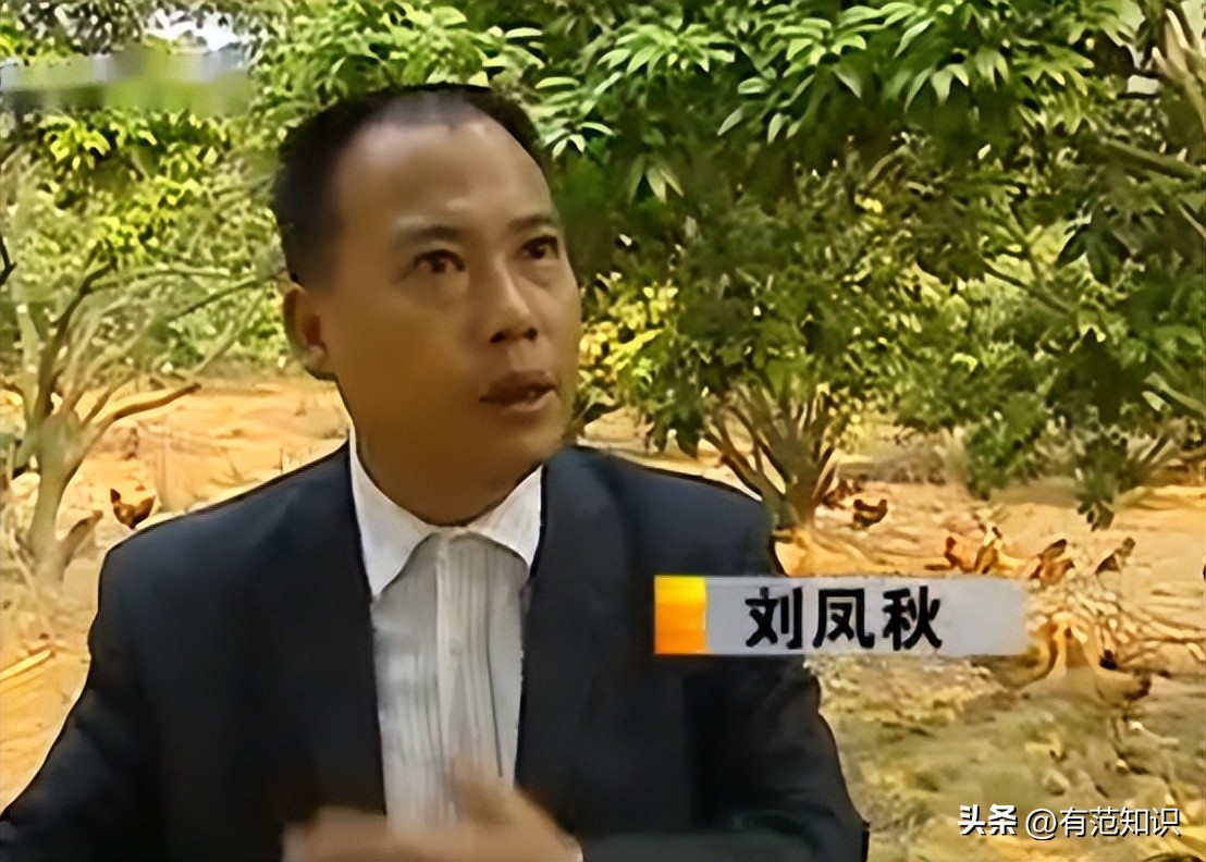 湖南小伙5000亩地养10只鸡,湖南小伙5000亩地只养十只鸡