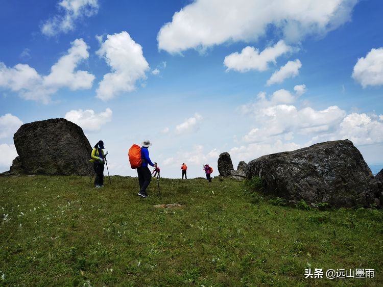 蓝天白云绿草间,蓝天白云草原绿草茵茵风景秀丽