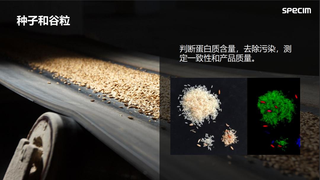 比较适合日常记录生活的相机,一款真正记录生活的相机