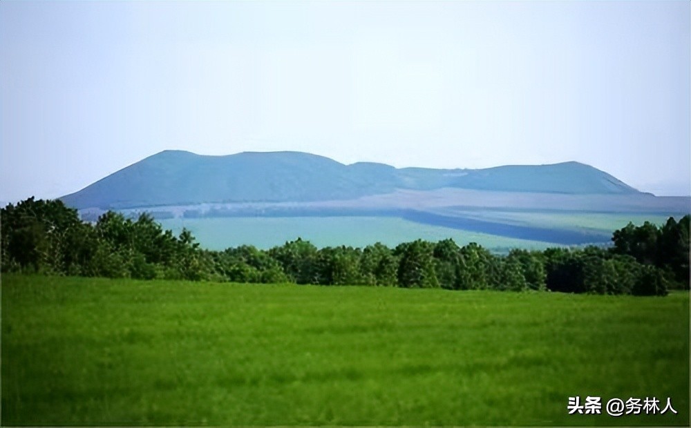 林权登记将纳入不动产权证登记,农村林权确权登记