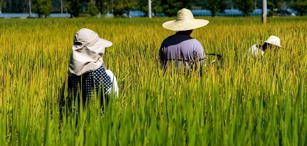 不会演穷人的明星,不会演什么就别演