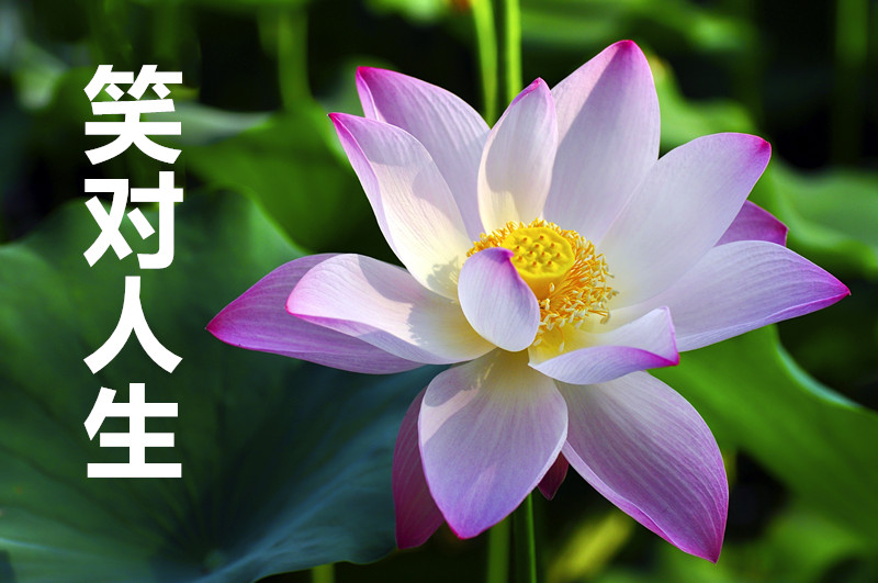 怎么挑选适合的微信头像,挑选一个适合自己的微信头像