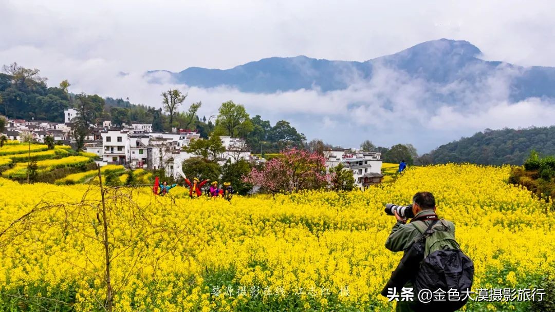 春暖花开婺源篁岭景区,五月婺源的绿意藏不住了