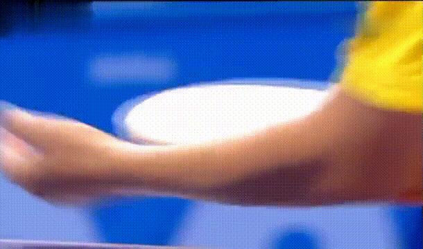 07世乒赛半决赛王励勤柳承敏,柳承敏奥运会夺冠如何庆祝的