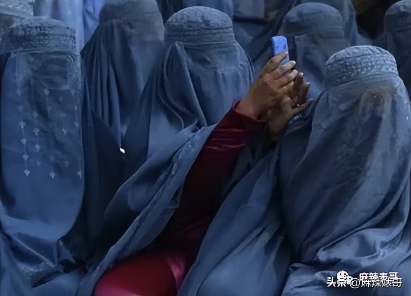 金晨模仿卡塔尔小王子晒照,金晨模仿卡塔尔王子被起诉了吗