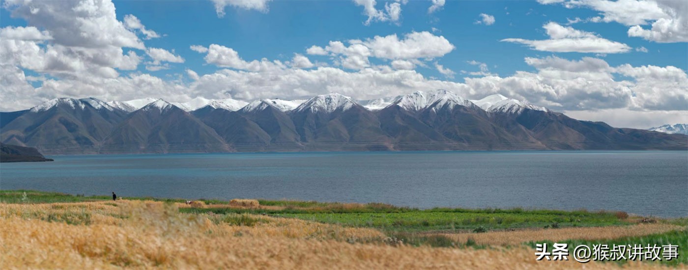 是尼玛,我是尼玛