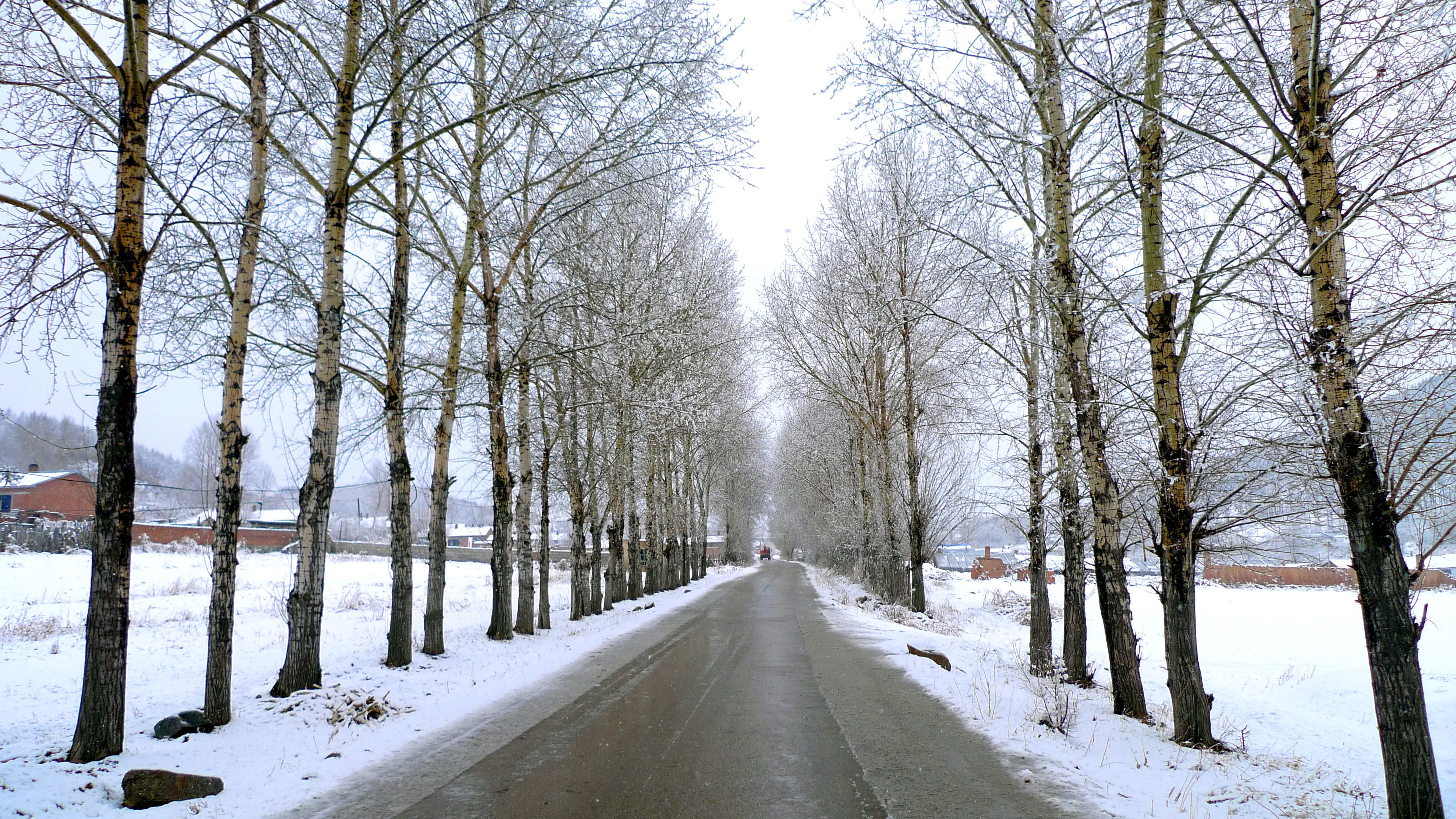 生态鹤岗,鹤岗最好的公路在哪条