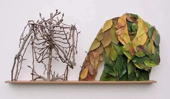 鑰佸厛鐢熼洉濉戜綔鍝佹璧忓浘,鑰佷汉闆曞鎯婅壋涓栦汉