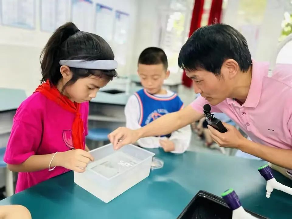 小学课后服务语文,金康园小学课后服务课